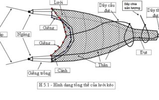 Cấu tạo lưới kéo